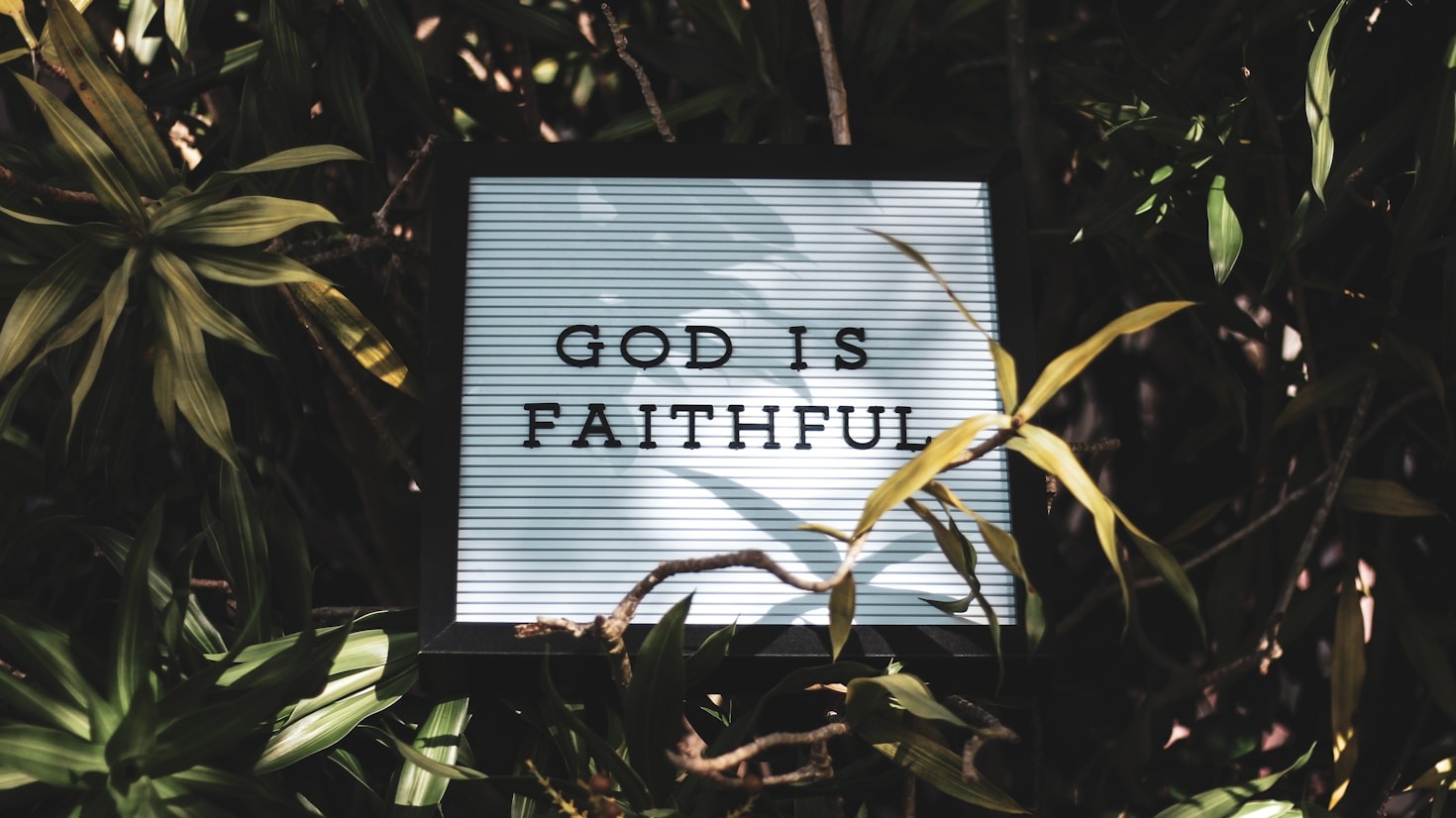 Finding Peace Through Spiritual Initiatives